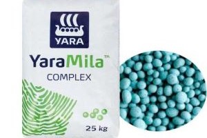 yara milla complex