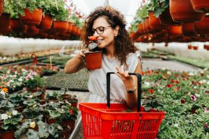 wybór roślin do ogrodu