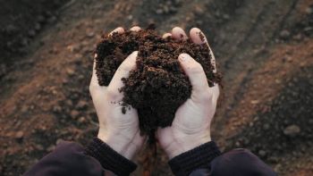 Nawożenie Naturalne Ogrodów Kobyłka