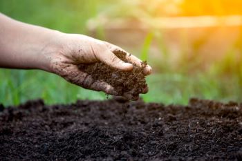 Nawożenie Naturalne Ogrodów Warszawa Wesoła