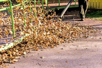 Sprzątanie Ogrodu Warszawa Wesoła